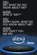 ‘Alexa, what do you know about us?’ What the author discovered when he asked Amazon to tell me everything my family’s smart speaker had heard.